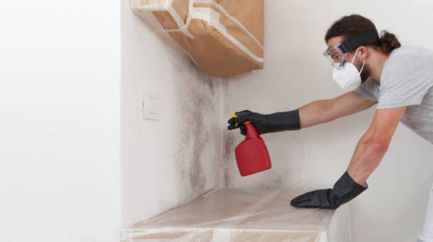Professional Bathroom Mold Removal technician working in Ferndale, PA