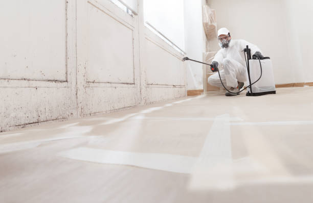 24/7 Emergency Bathroom Mold Removal experts in Ferndale, PA