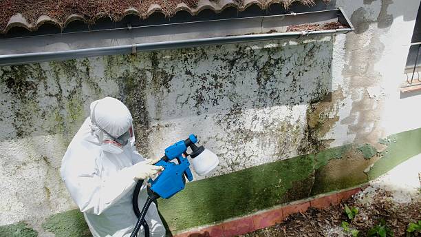 Top rated local Bathroom Mold Removal specialists in Ferndale, PA